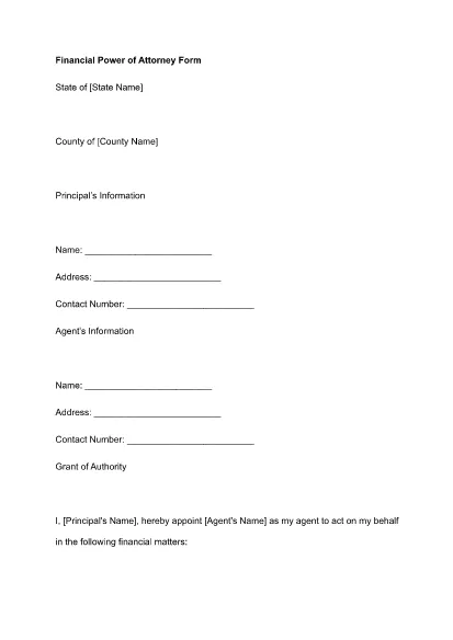 Attorney Form의 금융 전력 PDF 템플릿